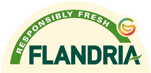 Flandria logo