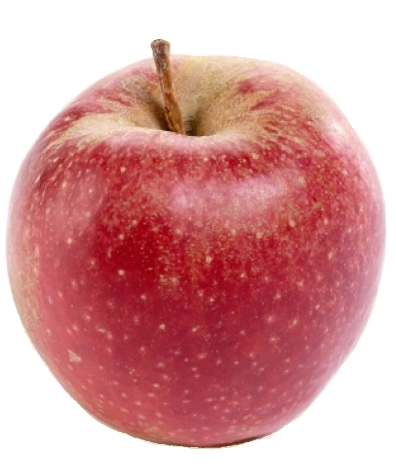 Boskoop