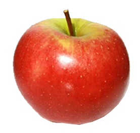 Assets/Products/Appels/Elstar-Apple2.png