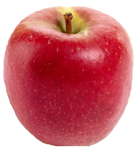 Assets/Products/Appels/appel-braeburn_2.png