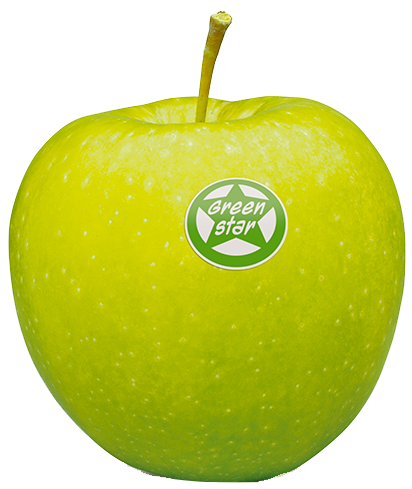 Assets/Products/Appels/greenstar_2.png